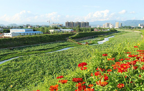 垃圾填埋廠(chǎng)生態(tài)修復(fù)